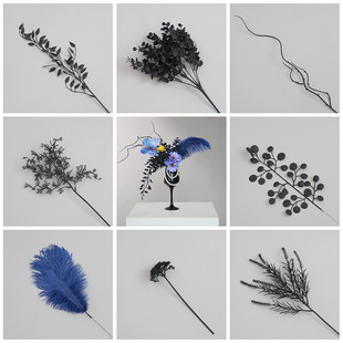 ���滨��ɫ���� ���滨ֲ���~�� �Ҿ� DIY�bzӰ�Ĕz�羳��