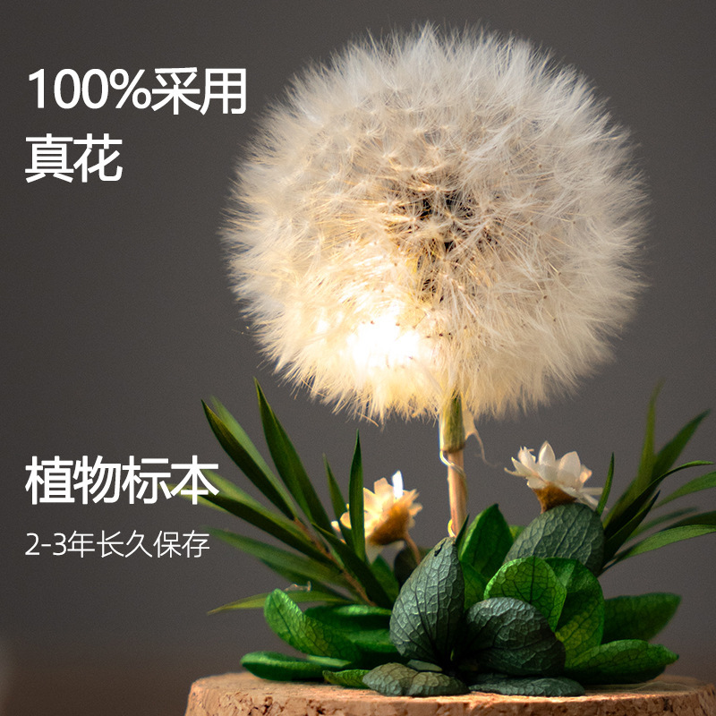 小夜灯蒲公英永生干花束玻璃生日礼物送女朋友情人节教师节礼品|undefined