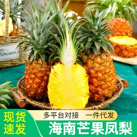 块茎类;其他水果;苹果