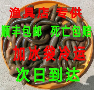 ����� ����� ����� ����� ��� �S�X �~�D �D�ϴ�С���b���