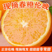 正宗秭归伦晚脐橙当季新鲜水果甜橙手剥橙3/5/9斤湖北春橙伦晚橙