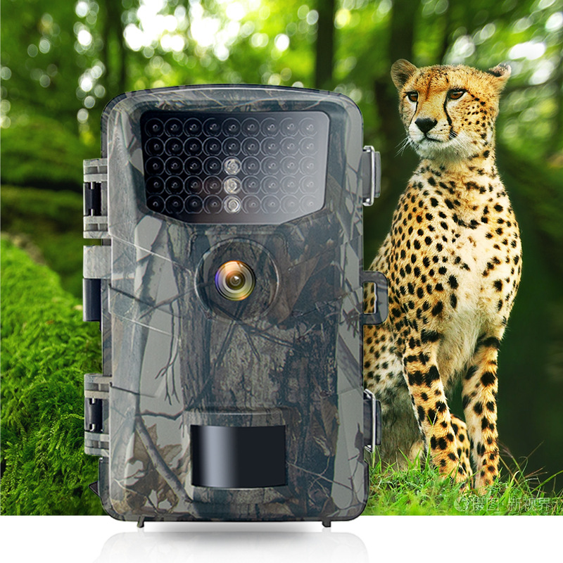 Induction CCTV camera, (Cross-border trading)
