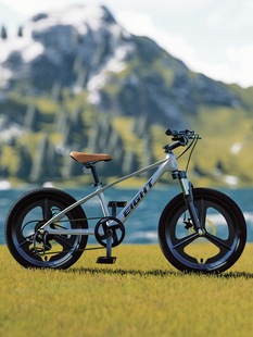 Magnesium alloy children's bicycle boys and girls 9-12 years old 20 inch 22 inch student big children variable speed mountain bike