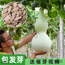 ����J�N�Ӿ��ͺ��J�ѷN�����Դ�ȫ�ˌ�Λρ����������С���J�N��