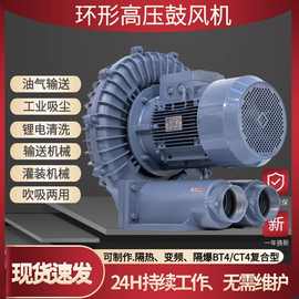 1500w高压风机耐高温RB-022环形单叶轮工业除尘鱼塘增氧涡轮风机