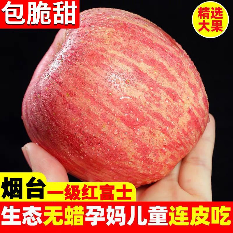 山东烟台栖霞红富士苹果应季水果新鲜整箱批发脆甜10斤/5斤/3斤