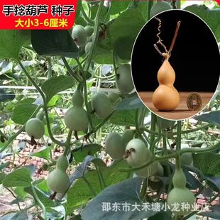 ���������������J�N�ӻ��������׻��ļ��N�����l����С����С���J