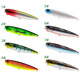 2 pcs Hula Popper Fishing Lure 55mm/9g Hard Plastic Topwater Popper Lures Fishing Tackle