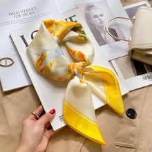 ����������ɫϵ�Ƽt��ˇ�͹�С�����b�����������͸�������l��