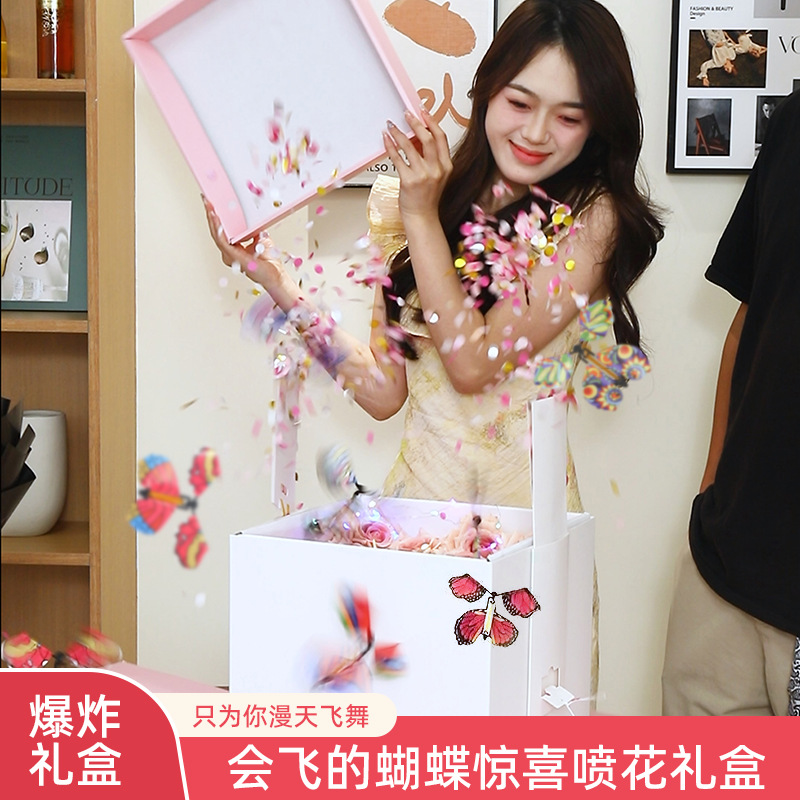 Butterfly Flying Boat