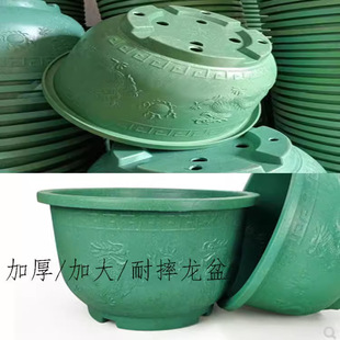 �Ӻ����ϻ����ش�ͥԺ�Nֲ�����辰���a�������ڏ�����}̎��