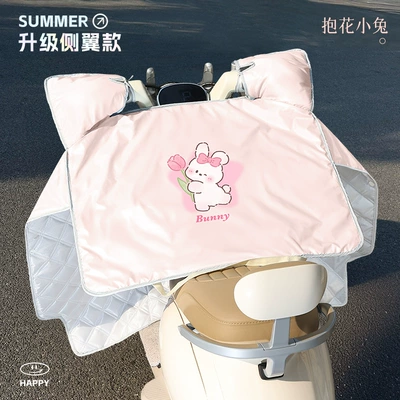 Sunshade, Battery Motorcycle Windproof and – Motorcycle front windshield - foundation-flower-bunny-heat-insulation-and-sun-protection-storage