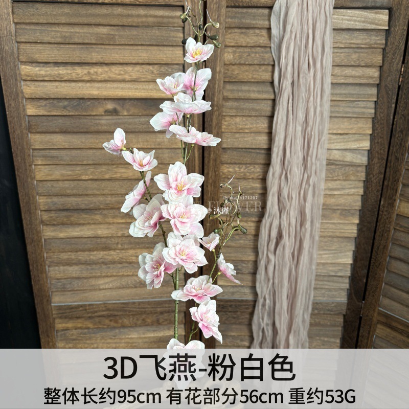 3D 비행 제비