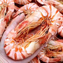 ̼���r�ɼ�ʳ�ش�̖�ش�̿�����r�ɿ����r��؛���r�Ź��r�ɺ��r