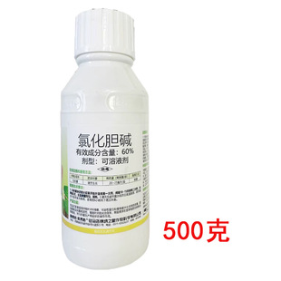 60%�Ȼ�đ�|���R���K�o����{�����L��ֲ�����L�{������
