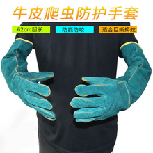 ������Ʒ���R�d�������x��ҧ���� 62cm������o��������