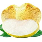 现摘砀山梨新鲜梨子10斤水果梨应季现摘整箱安徽特产汤山酥梨包邮