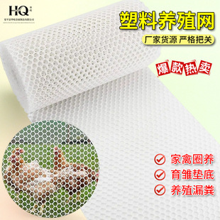 �ɶ��ƼӺ��û\�|�W��ɫ�Bֳ���r���χ��ھW����ƽ�W�����_���ϾW