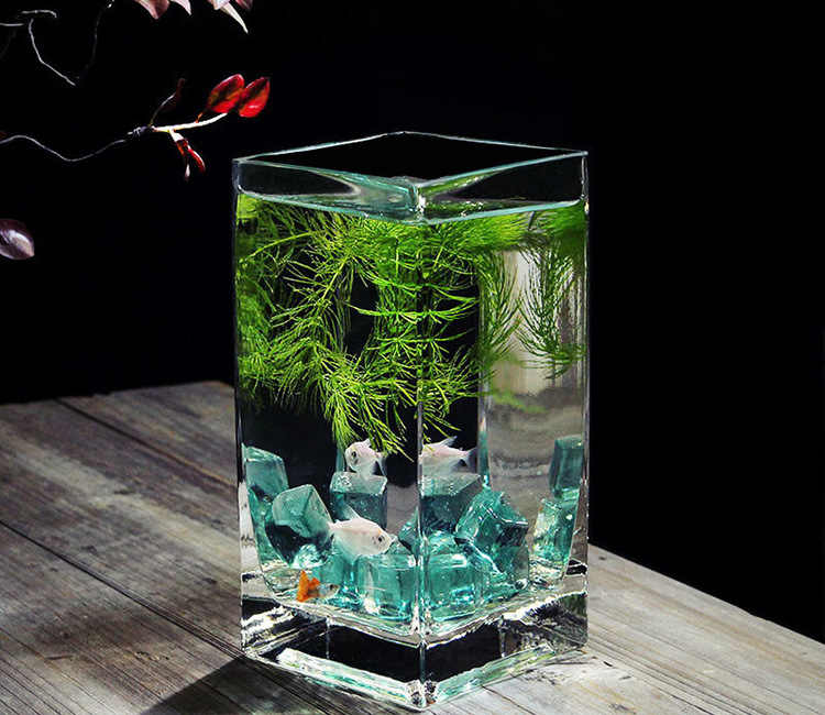 a2272110-b054-4865-bde8-87285e79768a.jpe