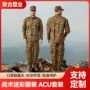 战术特战特种野战套装