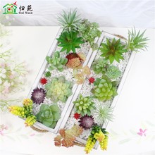 亚马逊货源仿真多肉植物DIY盆栽配件 假多肉小号微景观仿真花装饰