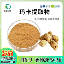 玛卡提取物100:1玛咖粉玛卡生物黄玛咖粉现货批发