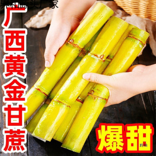 �V������10�����r������ˮ��������SƤ����a����