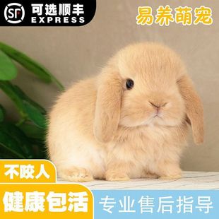 �N�ۻ������l����С��������B���m�����Ӵ���٪��ɐ�˪�׶�