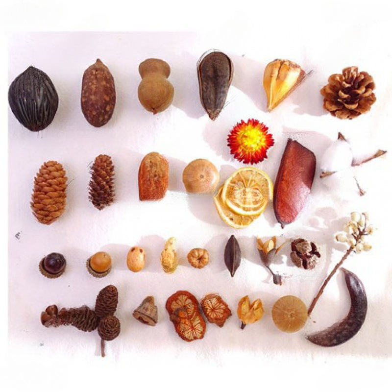 Kindergarten Fruit Pine Cone Natural Decorative Dried Flowers Christmas Material Thousand-Grained Fruit Handmade Acorns
