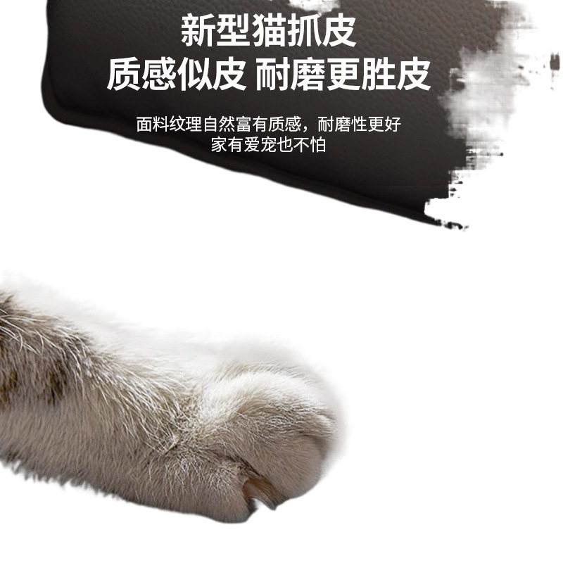 Cat Claw Leather Small Apartment Sofa Double Three-Person Modern Simple Living Room Office Apartment Rental Room Light Luxury Clothing Store