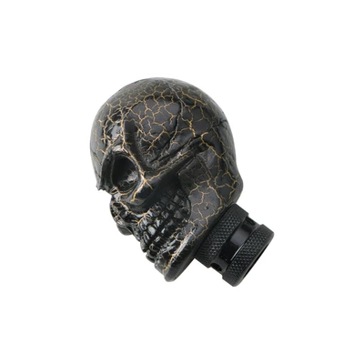 Cab and accessories head thin face skull head