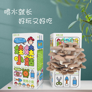 Pleurotus ostreatus mushroom bag strain edible bag mushroom planting mushroom bag balcony fun boxed children