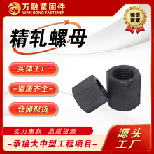 现货供应精轧螺母 精轧螺纹钢螺帽 高强度六角头螺母 加长大螺母