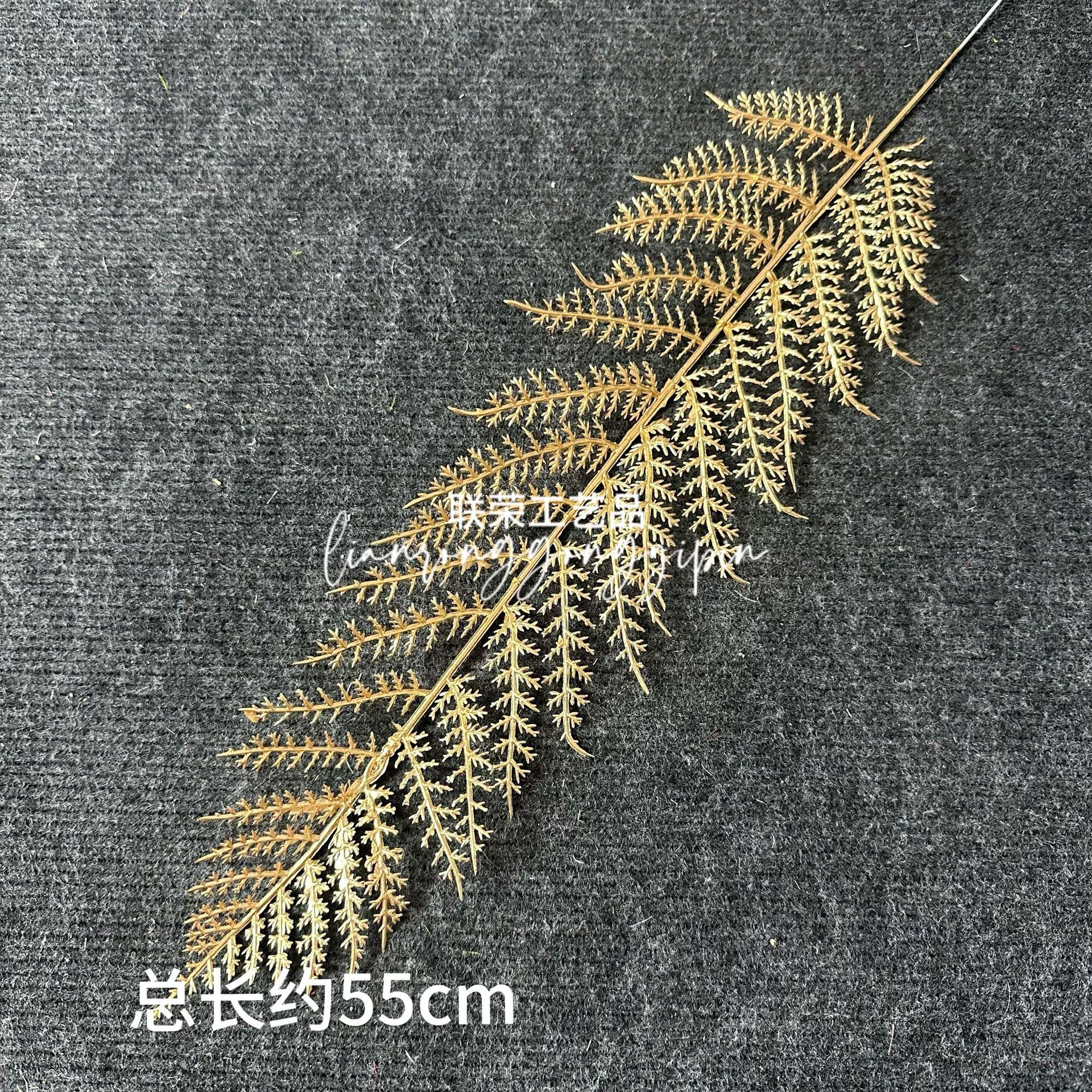 Pine branches leaves