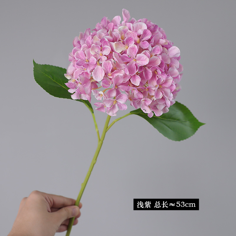 연한 보라색 트럼펫