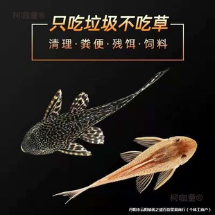 �S���坍8�Ꭷ�����FY�Բ���������������~����ˮ�~�~�~��̫��