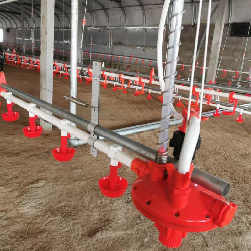 línea de alimentación plana de alimentación de tierra línea de alimentación de agua línea de alimentación de gallinas máquina de alimentación y equipo de cría de dragón de corte para gallinas