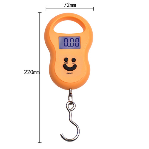 High precision portable portable scale hoist mini electronic scale 50kg kitchen scale