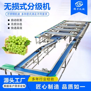 水果无损分选机 西瓜榴莲苹果分选设备 呵护式智能分级机 锦力