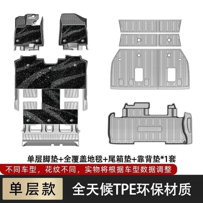 mats with fiber texture, 21-piece | Ayaqaltılar (Kovriklər) - sienna-21-27-models-carbon-fiber-patternsingle-layer-floor-mat-full-coverage-track-carpet-trunk-mat-backrest-mat
