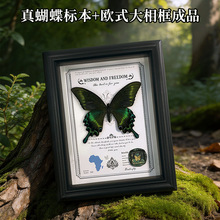 ������˱�8��Wʽ���ҾӔ[���ڒ����b����ս̌W���նY��