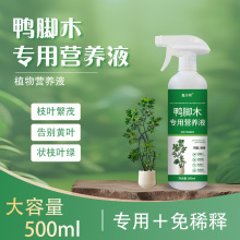家庭园艺绿植鸭脚木专用营养液花卉绿植盆栽土壤营养液生根液壮苗