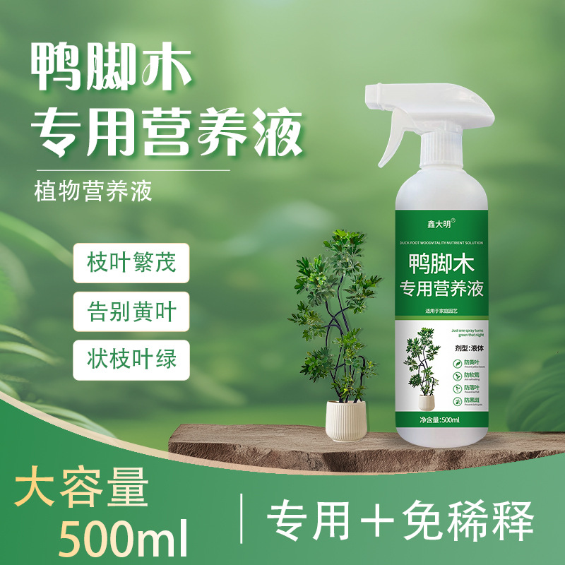 家庭园艺绿植鸭脚木专用营养液花卉绿植盆栽土壤营养液生根液壮苗