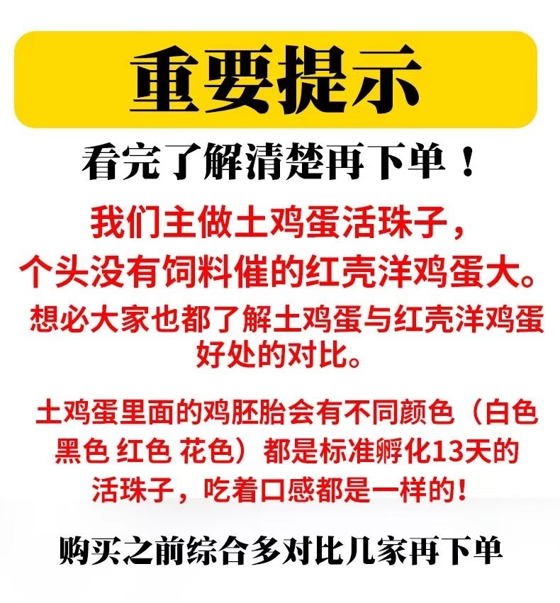 e00d4437-c3f1-4d57-ae30-e7eb8351e2c5.jpe