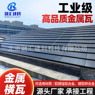 ���ُͺ��� �X�V�i������ �M�� ƽ����   �A���ߡ���X�\�V���