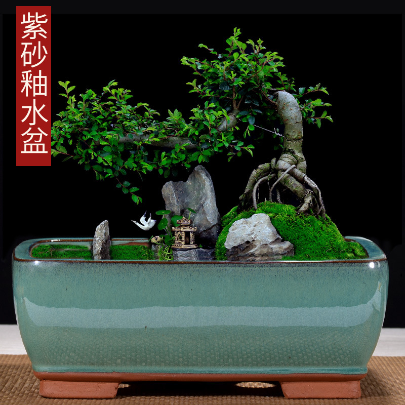 四方长方陶瓷盆景盆发财树金弹子多肉蝴蝶兰紫砂釉水花盆马包邮