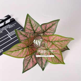 ����ֲ���Gֲ�������˹������b����������R���~