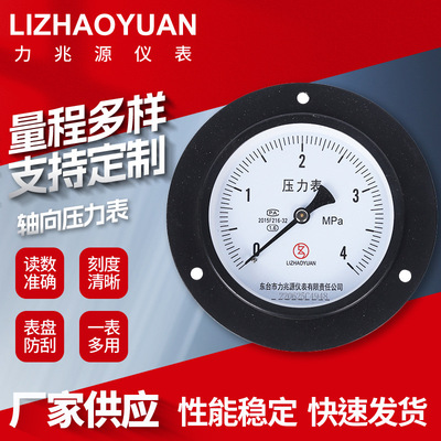Li Zhaouan Instrument Factory Y100ZT осевой манометр, высокотемпературный, устойчивый к коррозии, барометр давления воды