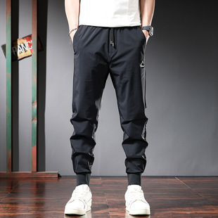 �ļ�������z���eѝ�л����ٸɏ������_�ɾo�����K2024�¿�������