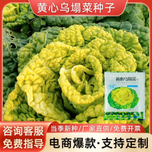 SĞ˷NӾջĲѷN׷N̨߲ͺSĲ˷NѷNӴȫ